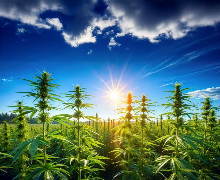 1360_F_936057413_kYKc4sMNubrYtox9swdVGrijh6lu1ZFy copy